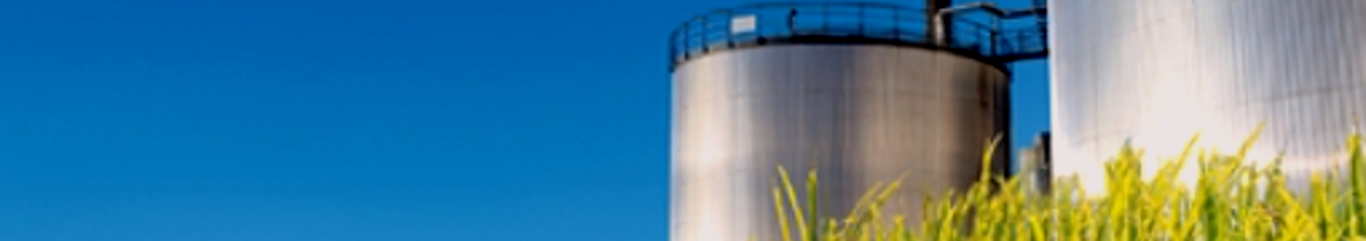 Azúcar & Agricultura